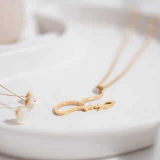 Nimah "Patience" Arabic Necklace displayed on white back ground with small white flowers 